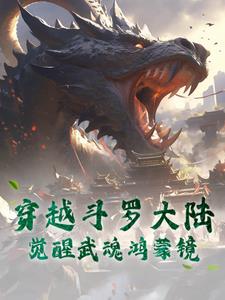 穿越斗罗大陆觉醒武魂鸿蒙镜