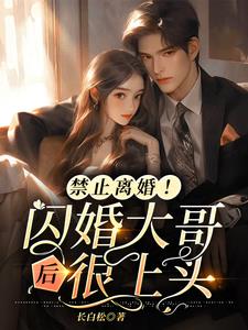 禁止离婚闪婚大哥后很上头
